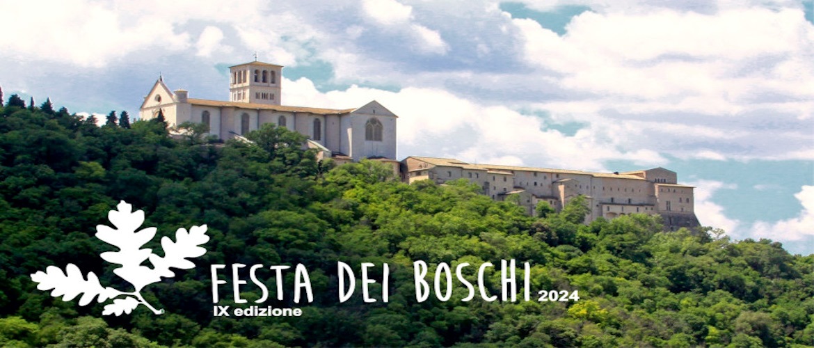 Locandina Festa dei Boschi 2024